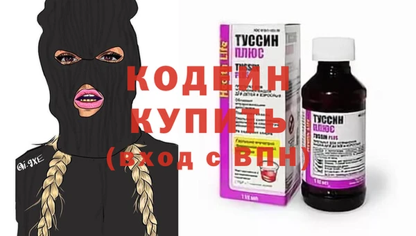 тгк Инсар