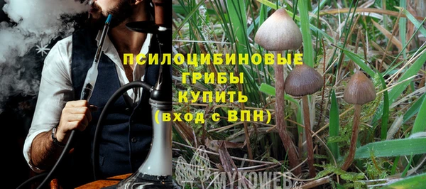 тгк Инсар