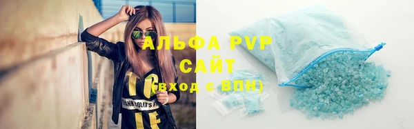 сатива Инта