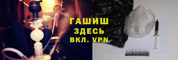 сатива Инта