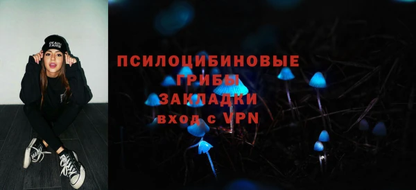 тгк Инсар