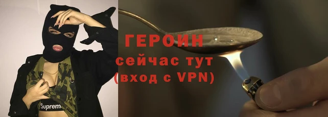 сатива Инта