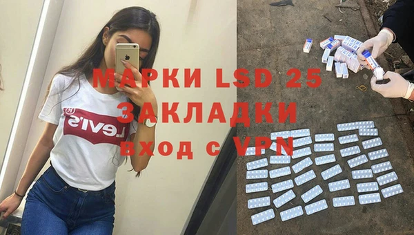 сатива Инта