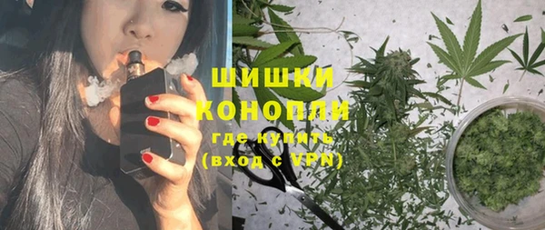 тгк Инсар