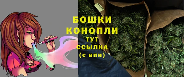 сатива Инта