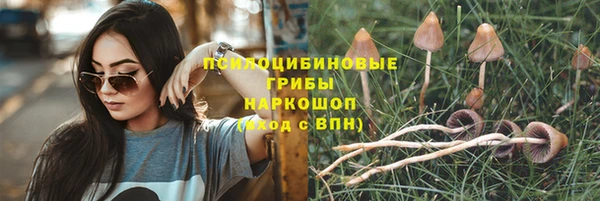 тгк Инсар
