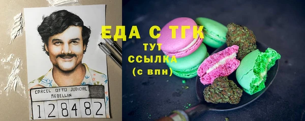 тгк Инсар