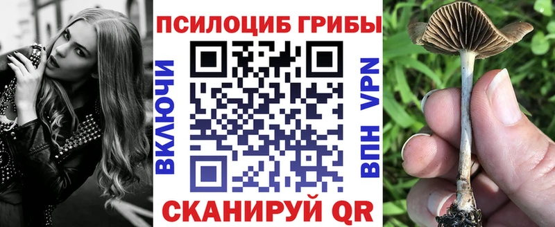 Псилоцибиновые грибы Magic Shrooms  Купить закладки  Дальнереченск 